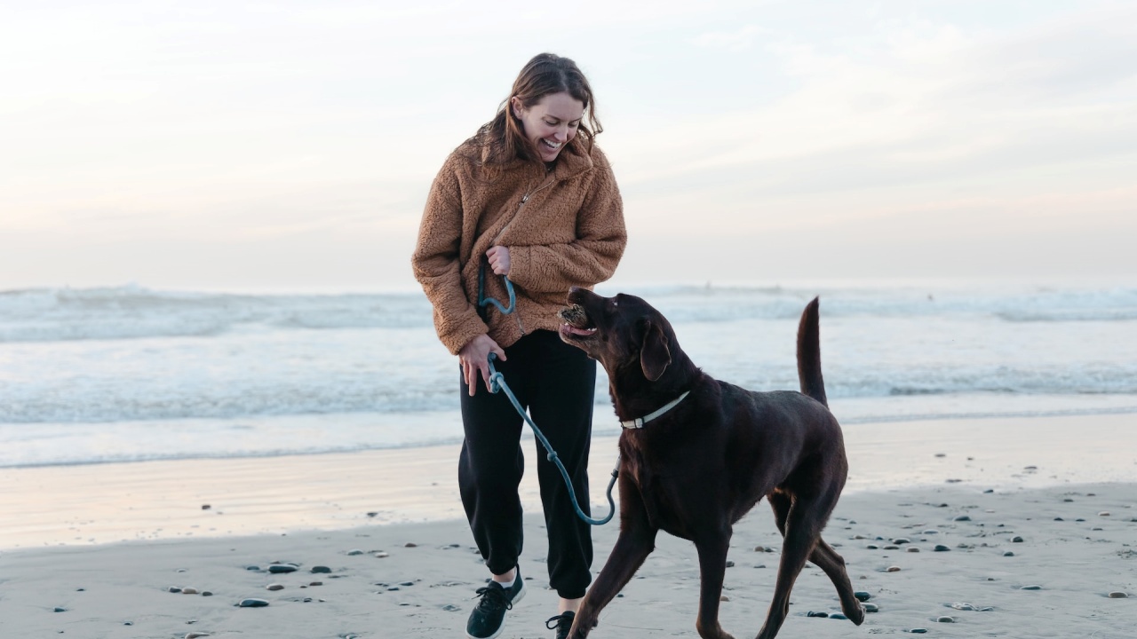 cane prende la tua personalità