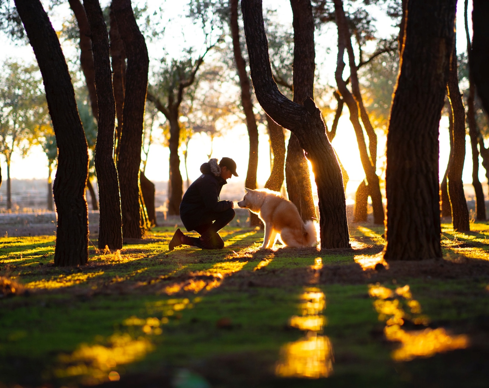 personalità cane e umano