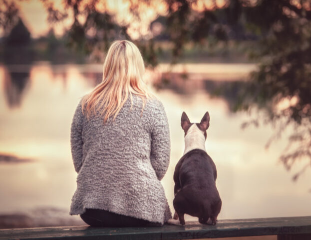 Sì, è proprio così: i cani possono essere considerati importanti e amarti quanto tutto il resto della famiglia