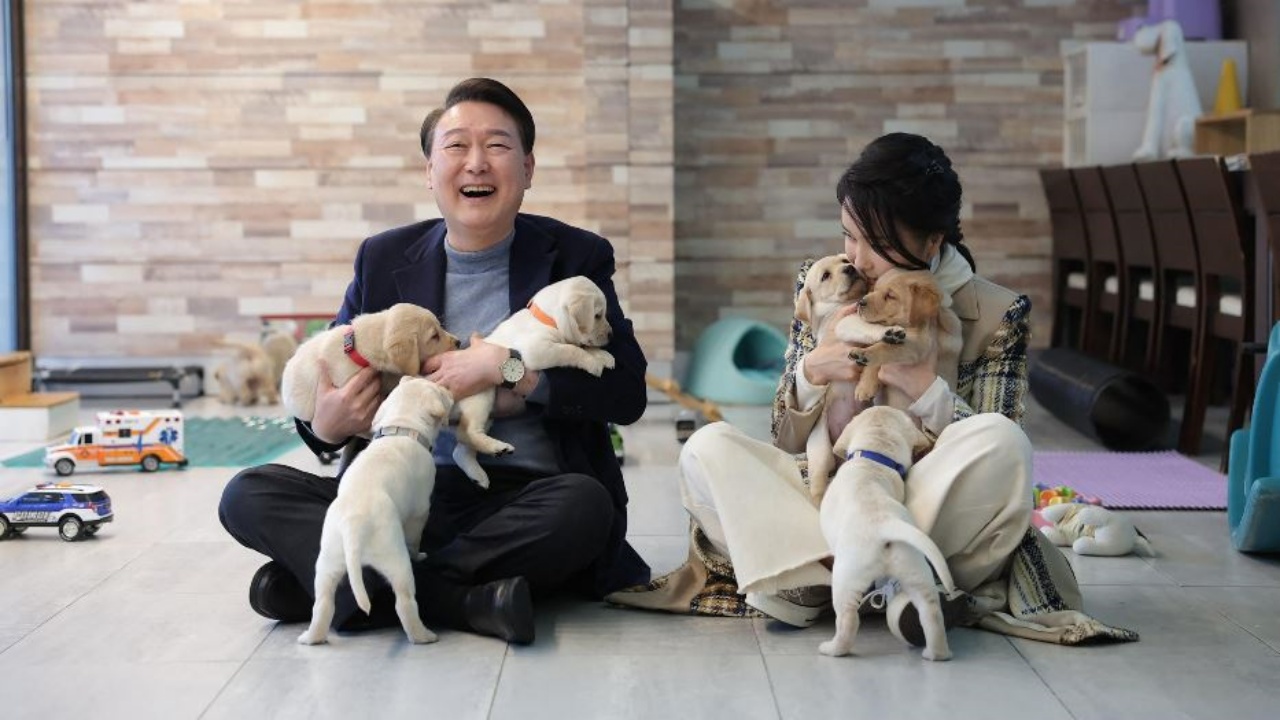 commercio di carne di cane in Corea