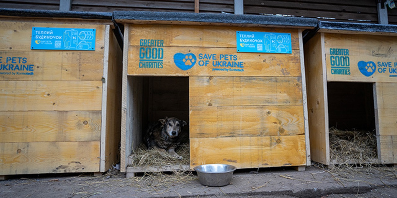 rifugio per animali randagi