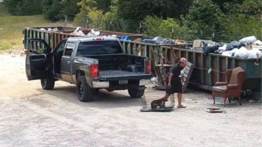 una donna abbandona un cane