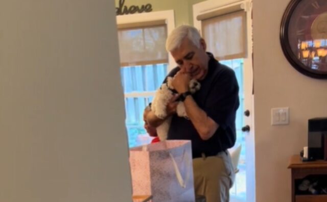 Il papà umano passa il tempo a consolare il cane appena adottato per farlo ambientare in famiglia (VIDEO)