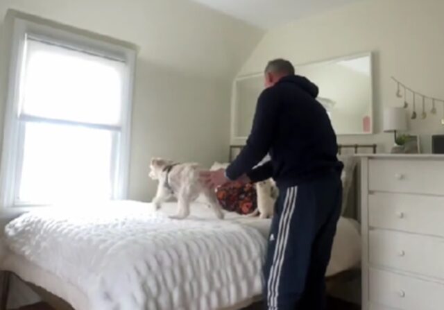 Cane cerca l’amica umana tornata al college dopo le vacanze natalizie: non si muove dal suo letto