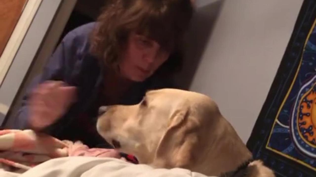 Cane consola ragazza in lacrime