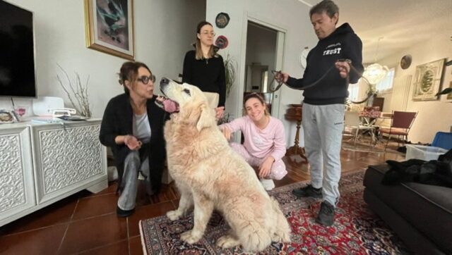 Il cane dell’alluvione di Senigallia trova casa: la storia di Iside