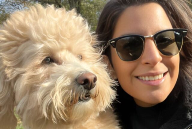 Ha perso il suo cane e pur di ritrovarlo assume un investigatore privato: quanto sta spendendo?