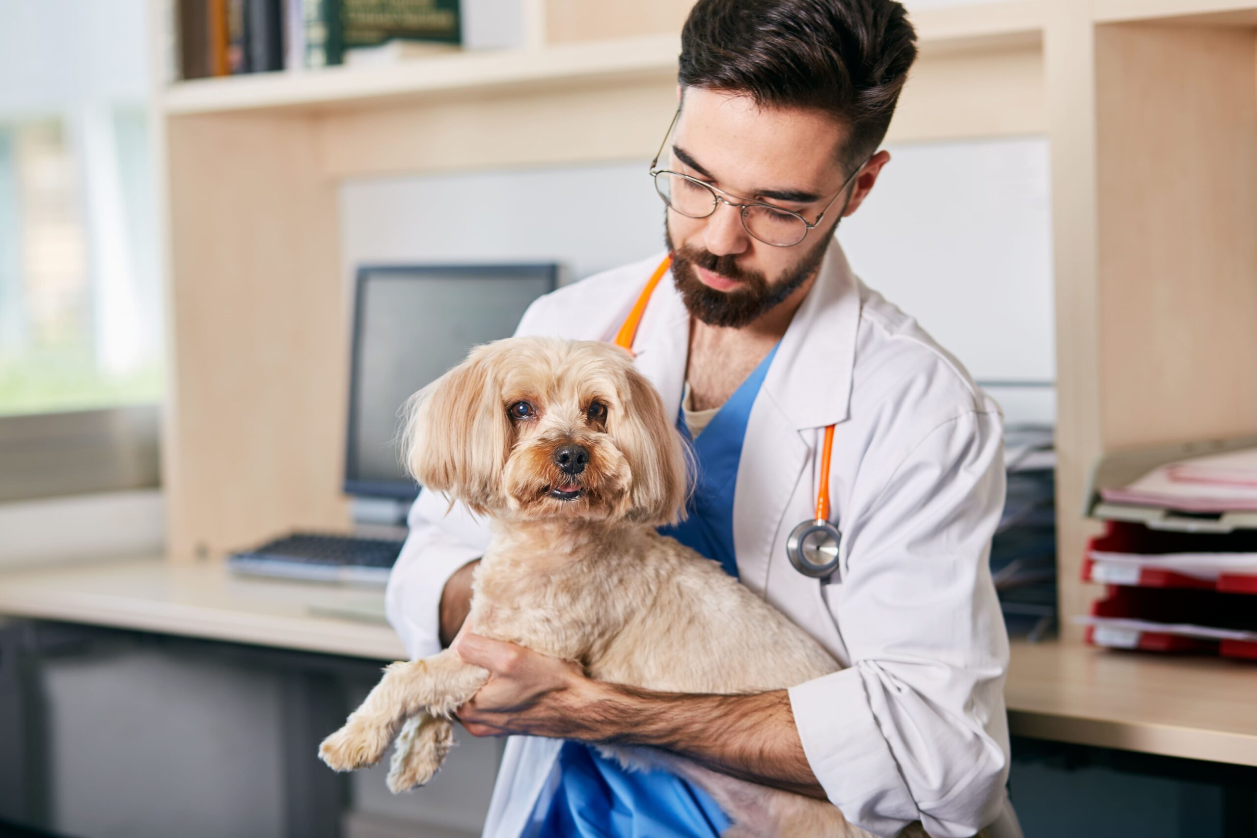 cane dal veterinario