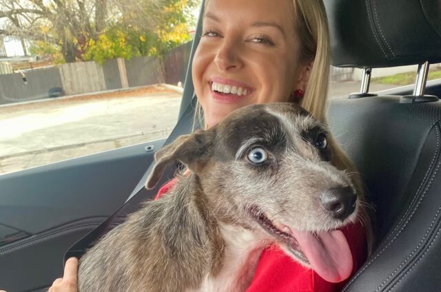 Kelly Olynyk trova un cane e lo riporta al proprietario: il cucciolo trovato dal cestista NBA era scomparso da 4 anni