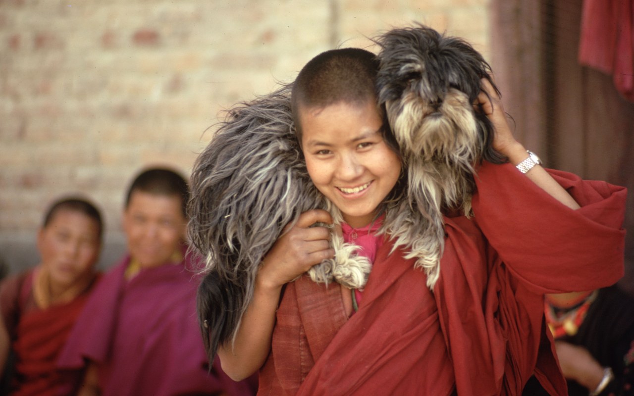monaco tibetano con cane