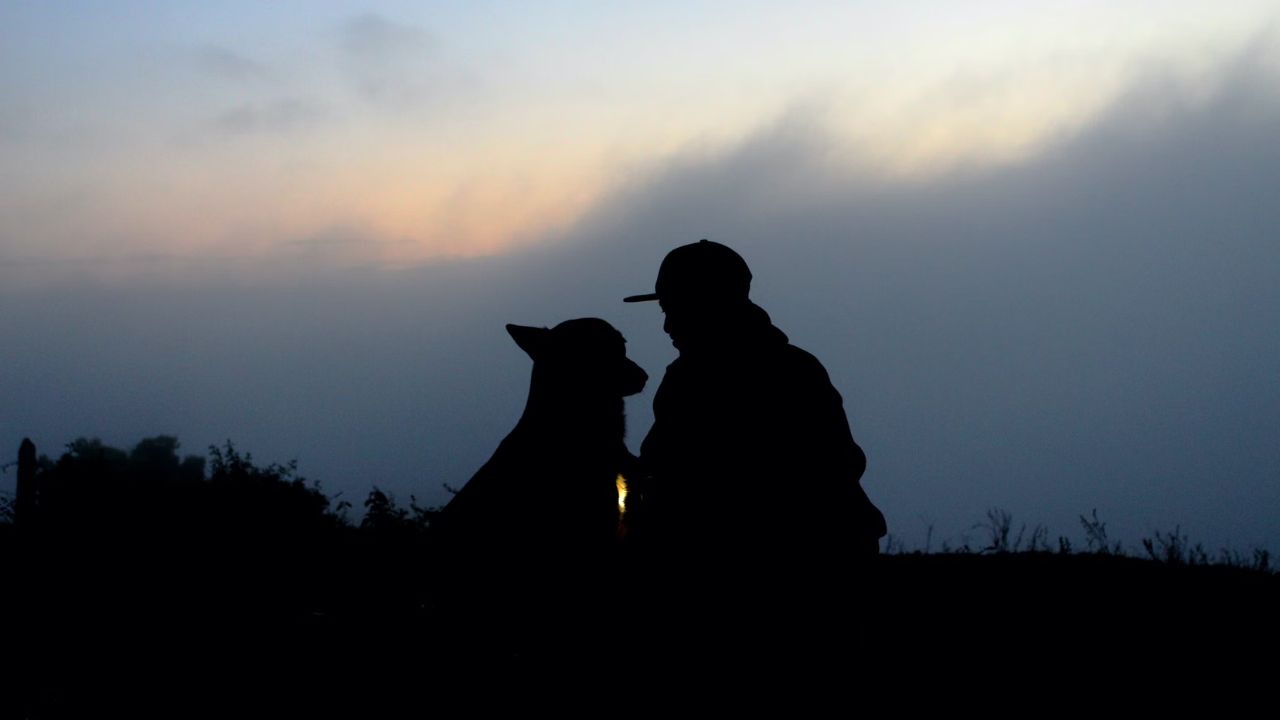 cane e padrone