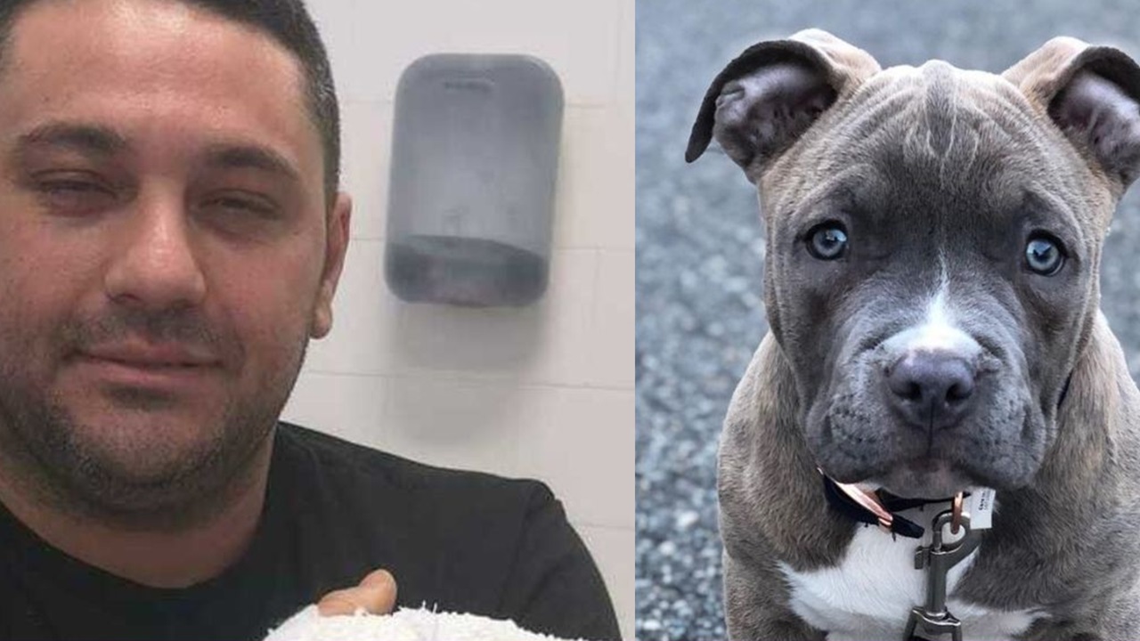 Proprietario con il cane Pitbull