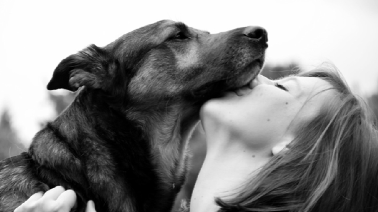 Donna bacia il cane