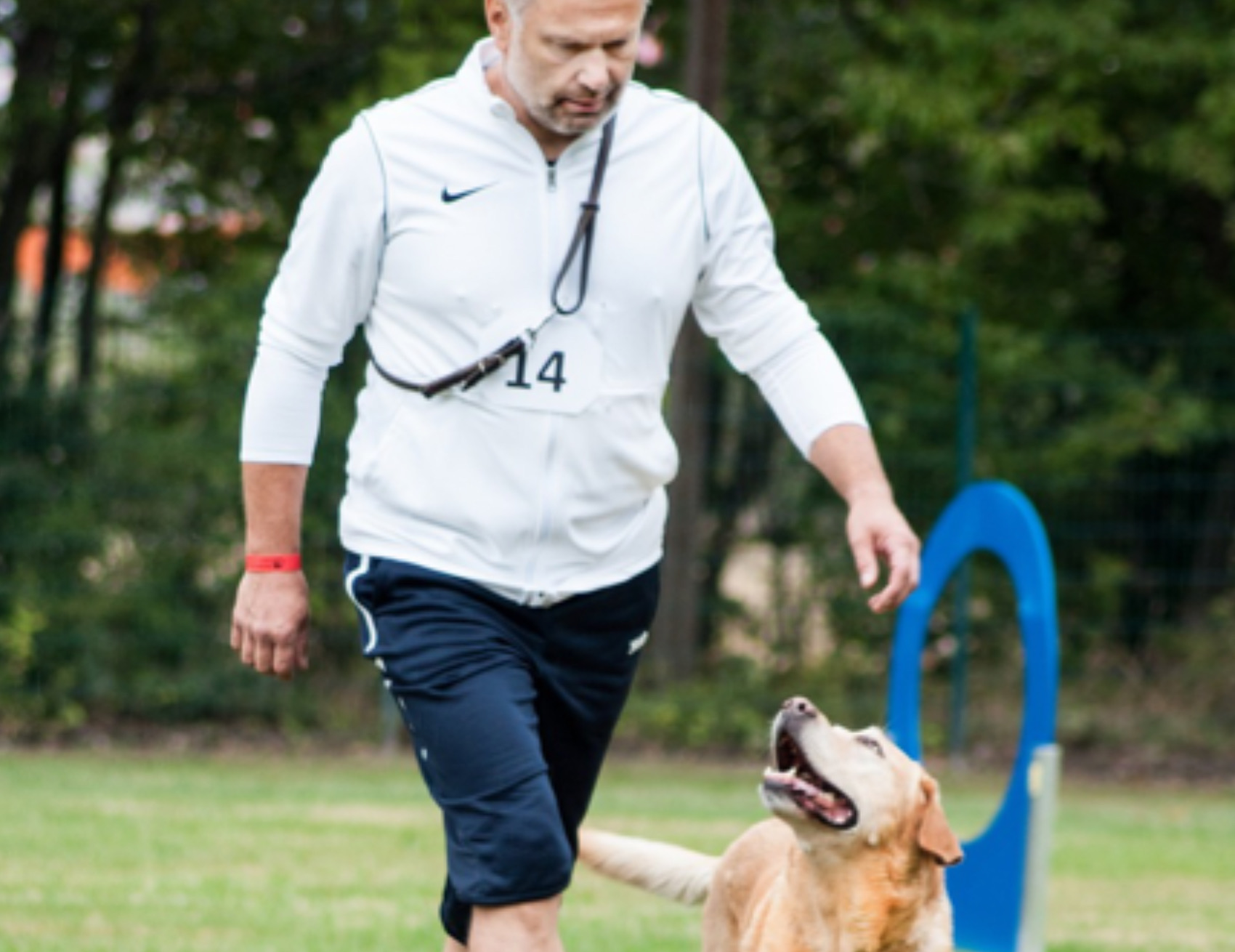 Cane e umano