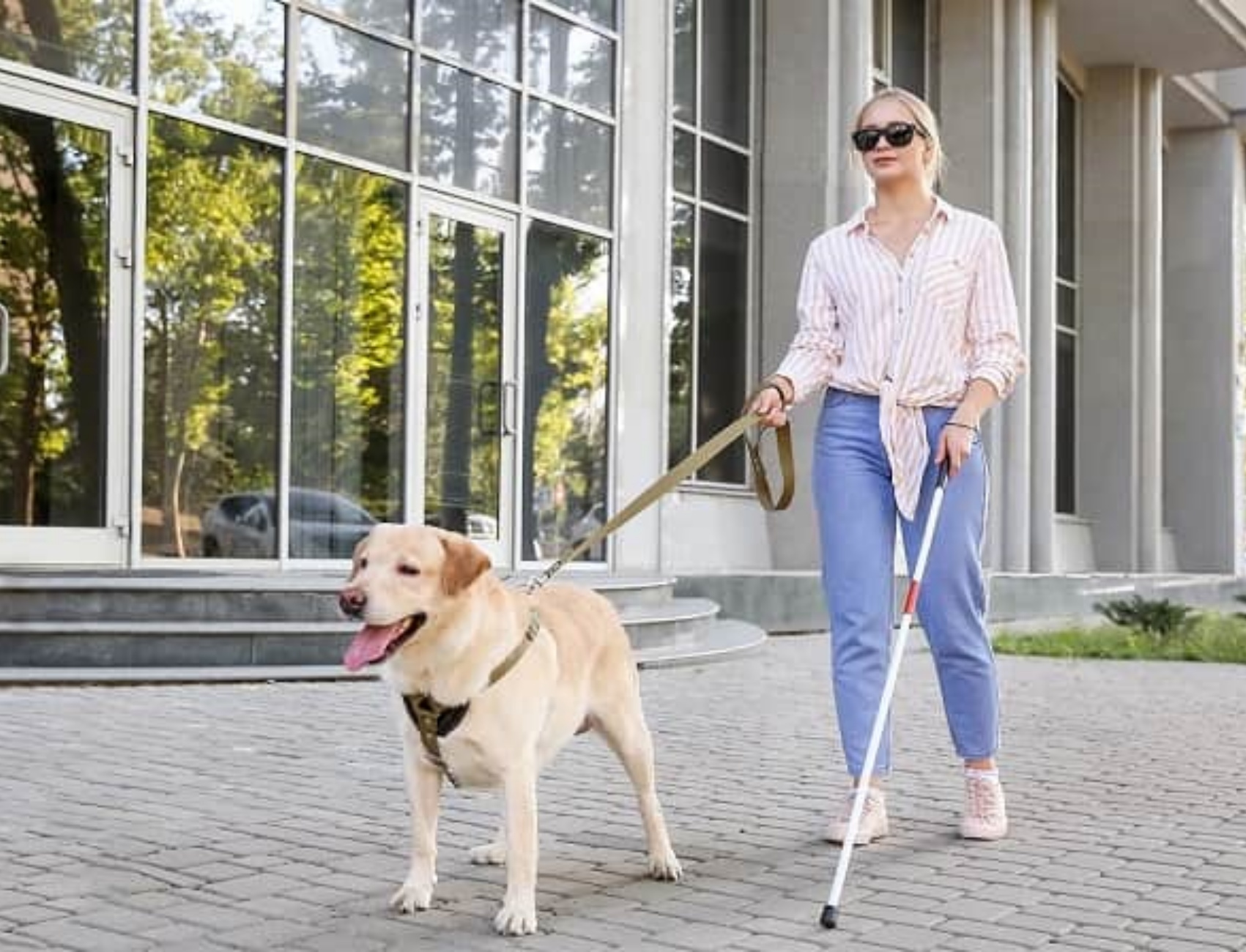 cane guida rifiutato in albergo