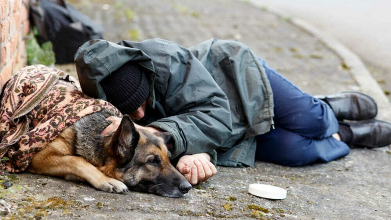 cane salva senzatetto