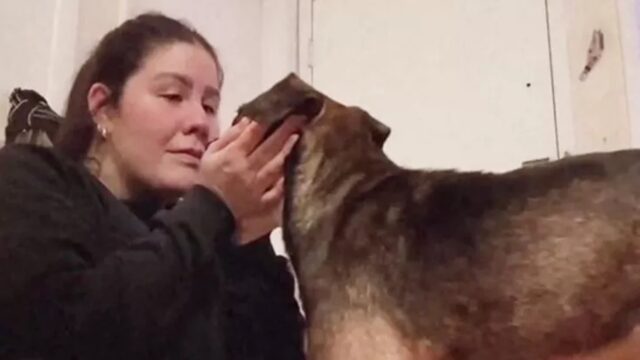 Cagnolina adottata reagisce in un modo commovente alle parole della mamma che annunciano l’adozione