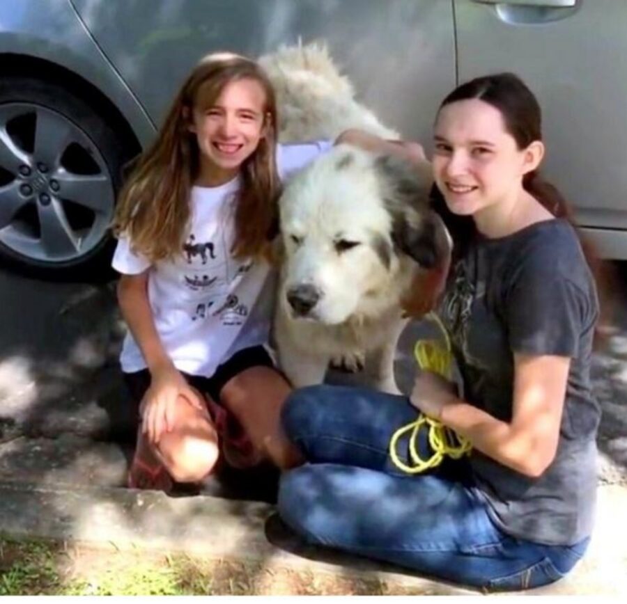 due ragazze con un cane da pastore