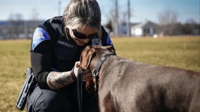 Cane con il muso legato da una fascetta adottato dalla poliziotta che lo ha salvato