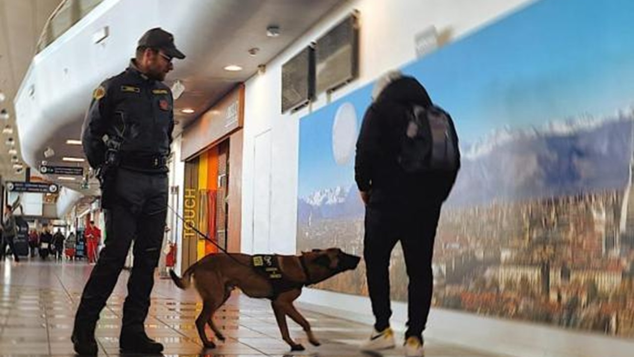 Cane poliziotto aeroporto di Caselle