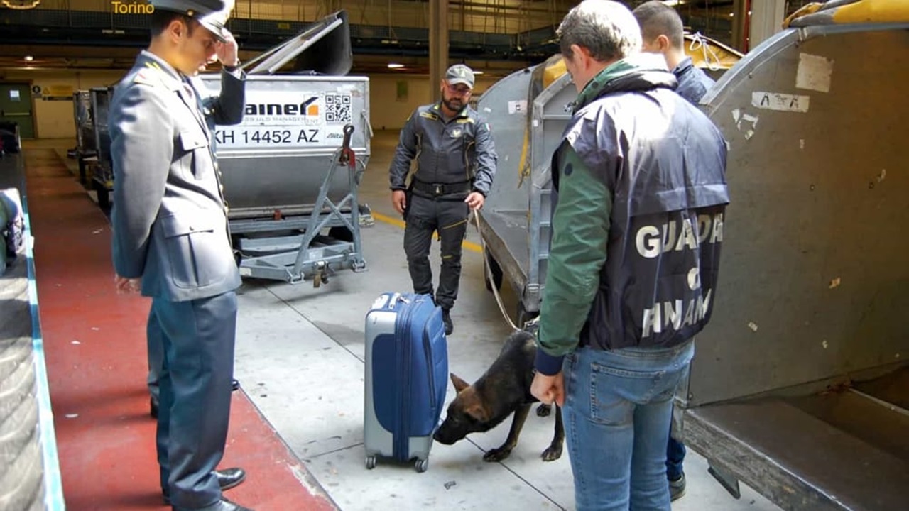 Cane poliziotto annusa la valigia