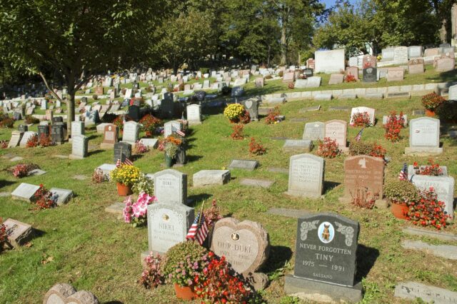 Donna sepolta in un cimitero per cani e gatti a New York: la commovente storia di Patricia