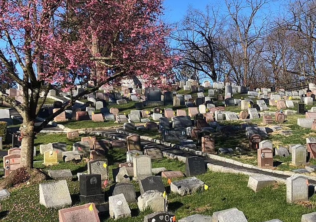 tombe di cani e gatti