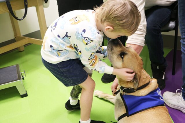 Colpito da un proiettile questo cane trova il suo riscatto cambiando vita in modo imprevedibile