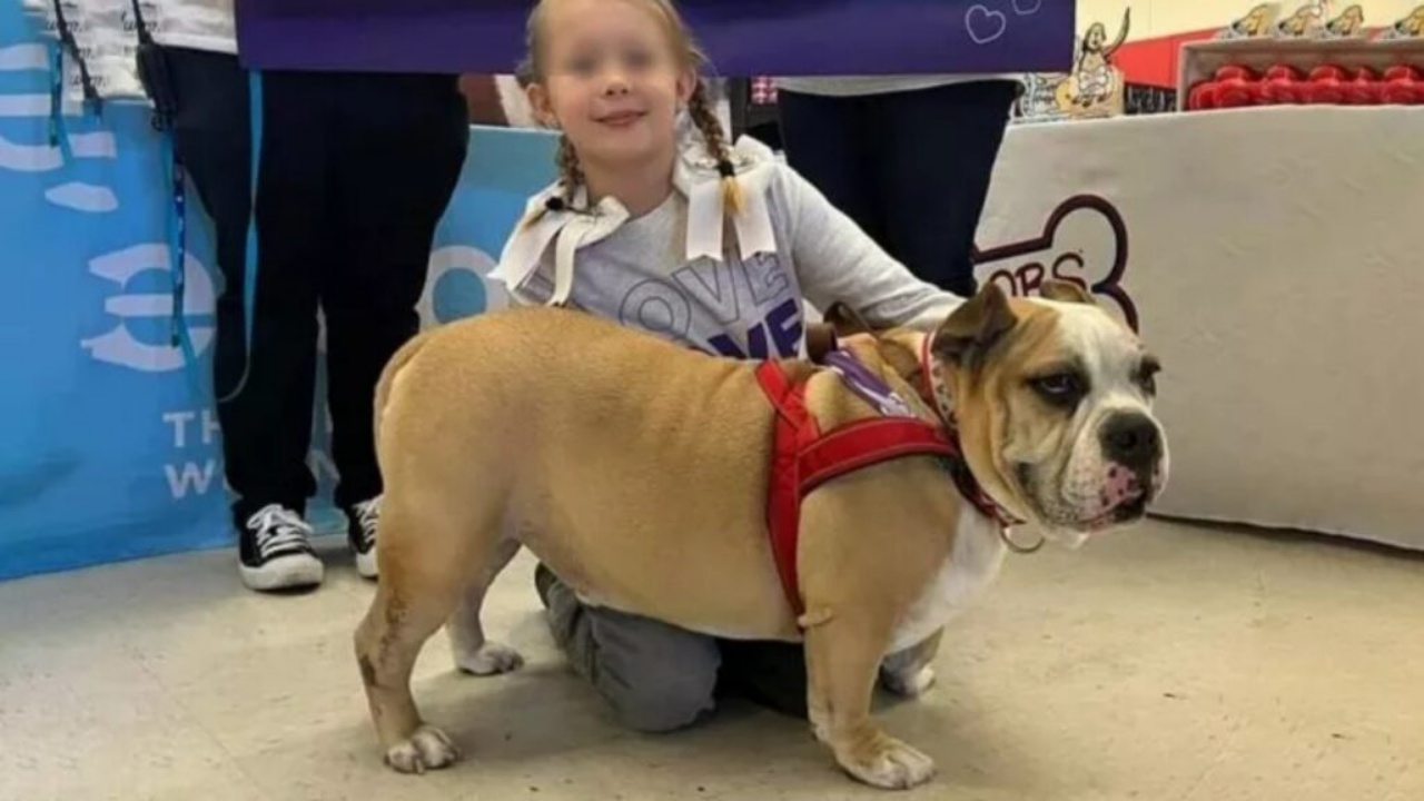 cane fa vincere soldi alla sua bambina