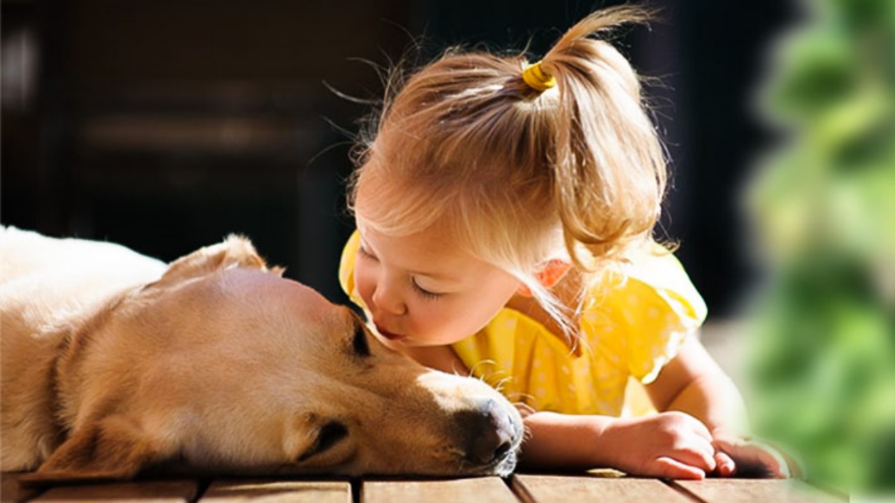 cagnolina con bambina