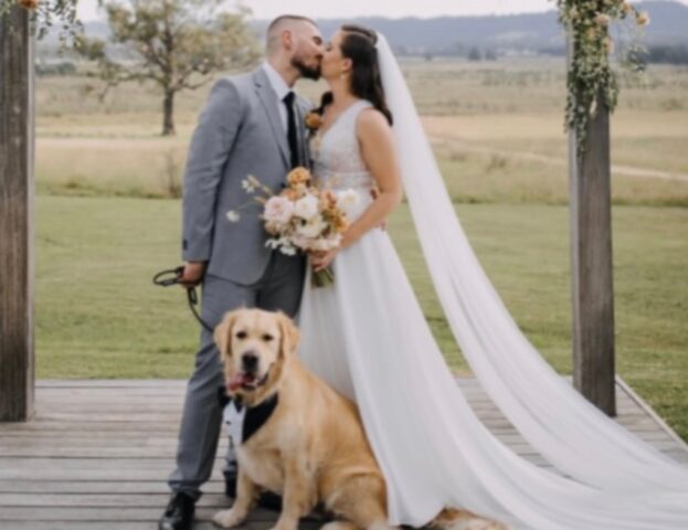 Sì, lo voglio: queste 5 foto di cani immortalati con i loro padroni dopo la cerimonia di nozze sono puro romanticismo