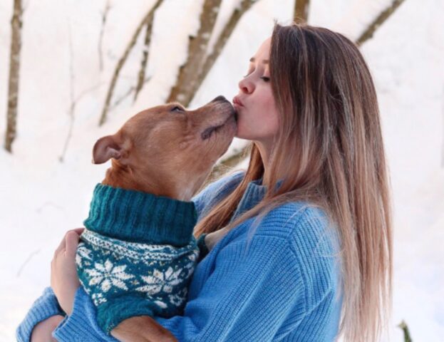 Sì, queste 5 foto di cani che abbracciano i loro padroni dimostrano tutto il loro modo di provare amore