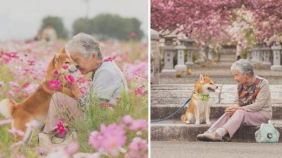 una nonnina con un cane