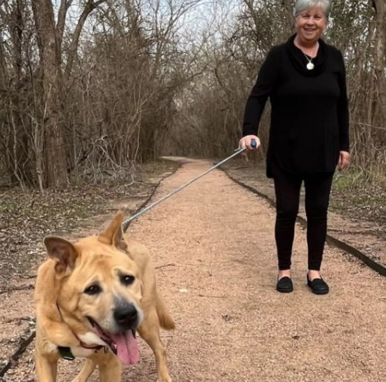 Donna a passeggio con il cane