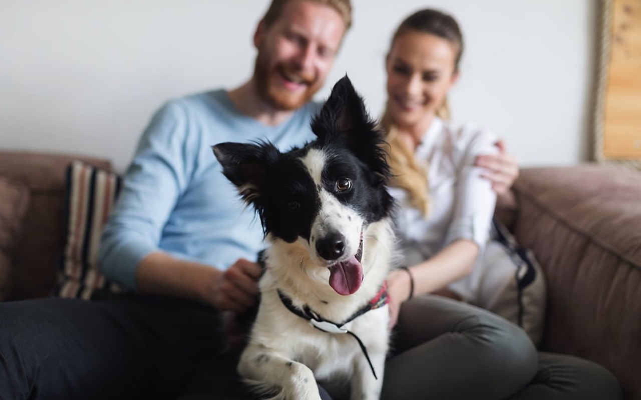 cane con la sua famiglia