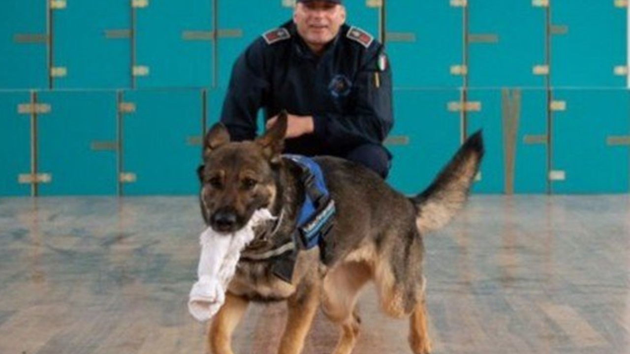cane poliziotto penitenziario Zolly