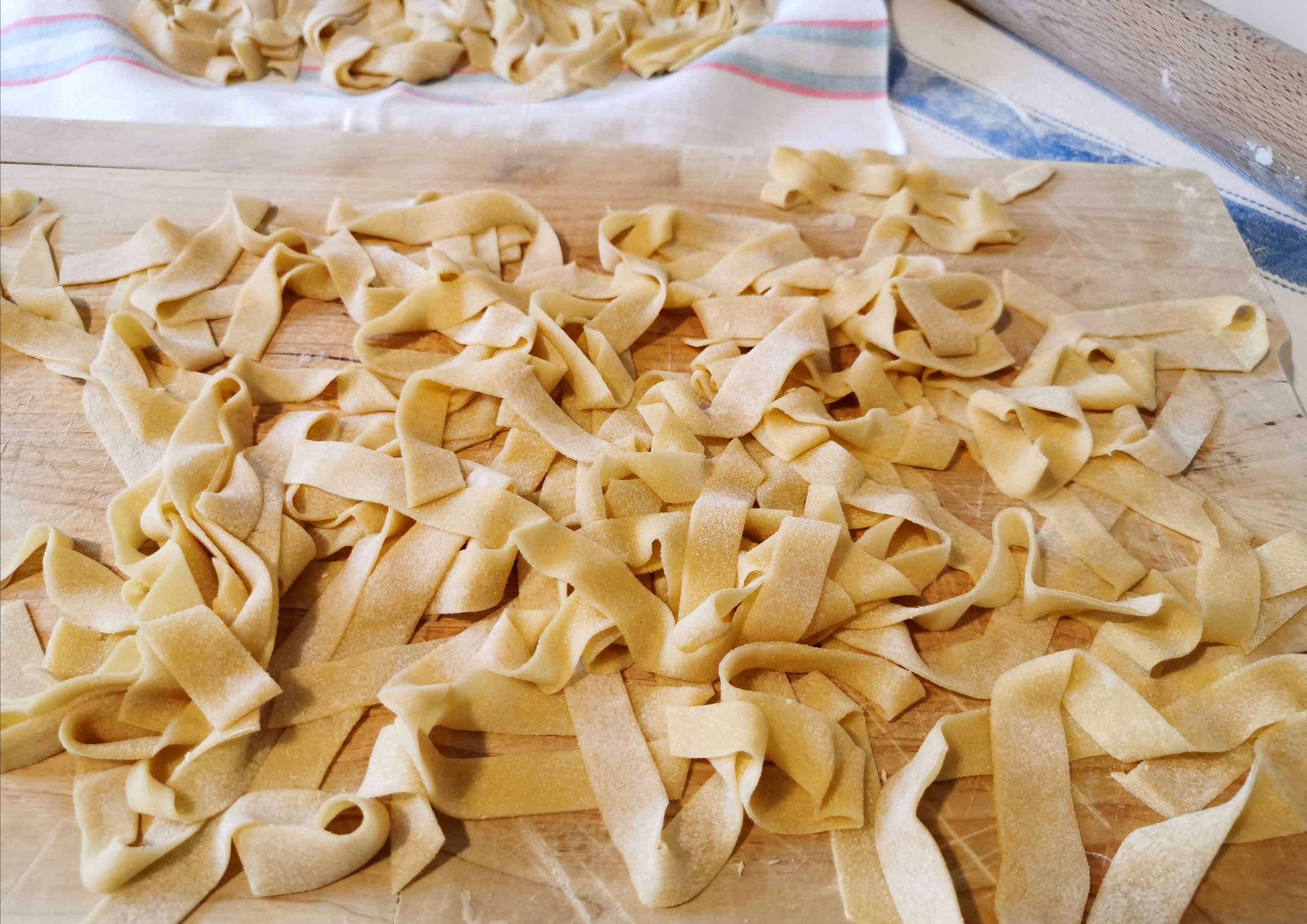 pasta fresca per il cane