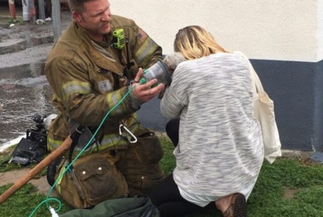 Il cane ormai praticamente senza vita, ma i pompieri hanno tentato il tutto per tutto e sono riusciti a rianimarlo