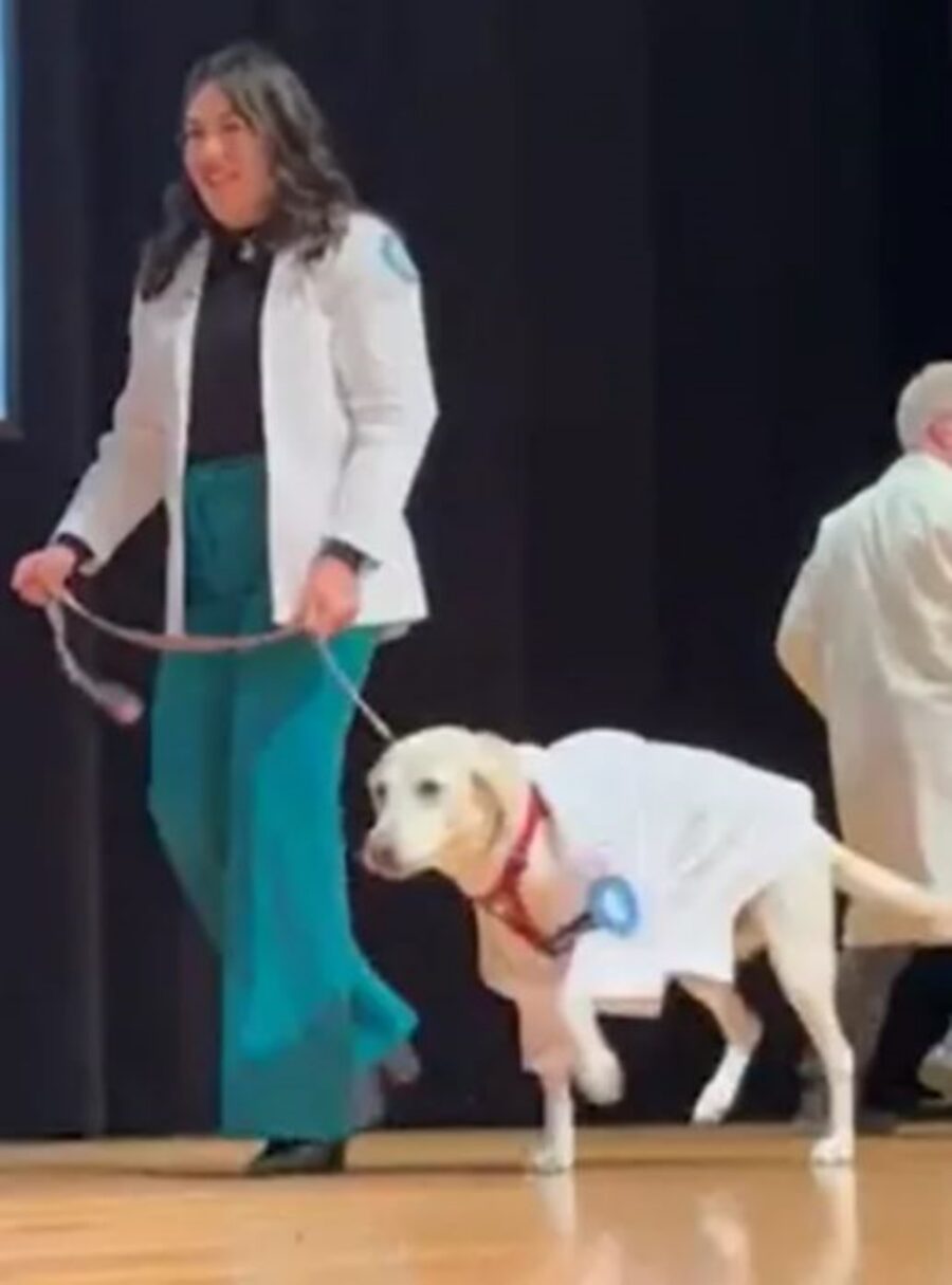 un cane che si laurea insieme alla sua proprietaria