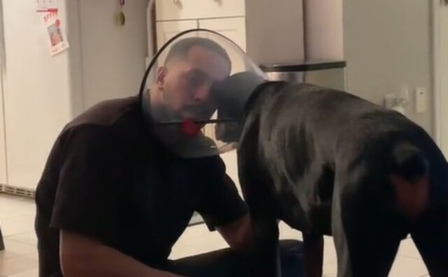 L’uomo trova il modo più dolce e tenero per consolare il suo amato cane costretto a indossare il collare elisabettiano (VIDEO)