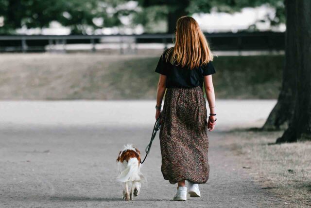 Mantenimento del cane: uomo deve pagare all’ex 40 euro al mese