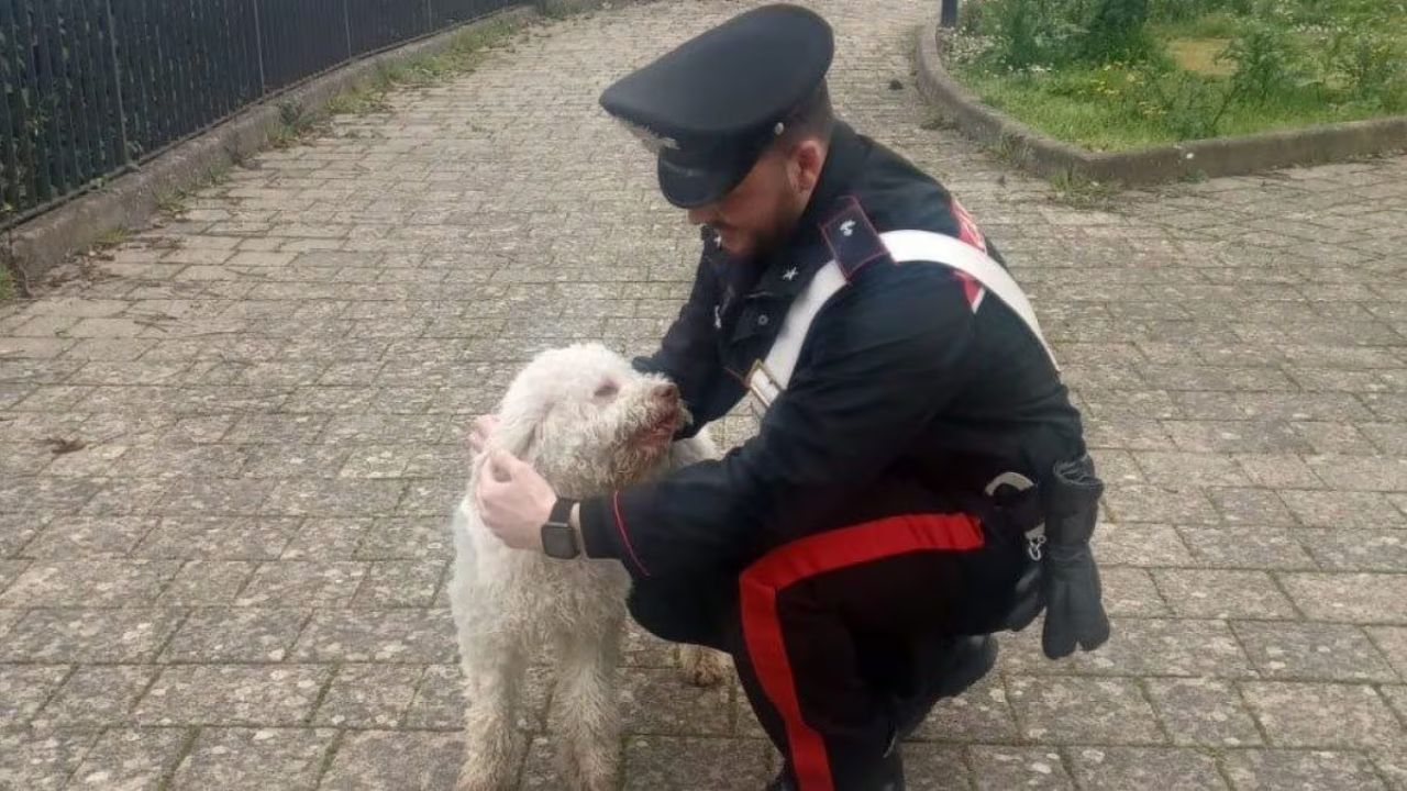 cane e carabiniere