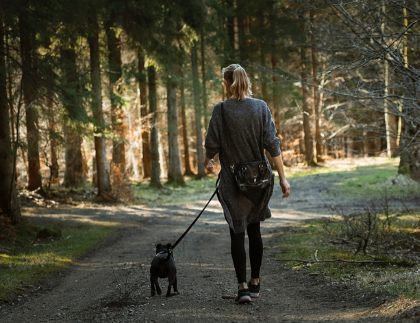 Donna passeggia con il cane