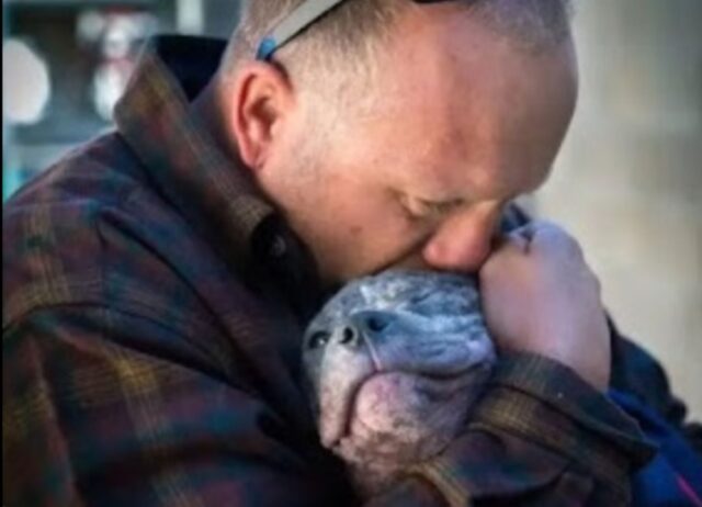 Il cagnolino in rifugio impazzisce di gioia quando riceve una visita speciale, quella del pompiere che lo ha salvato