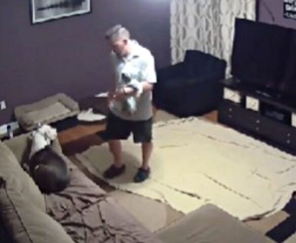 La videocamera di sorveglianza ha catturato il cane che si prepara al neonato in arrivo