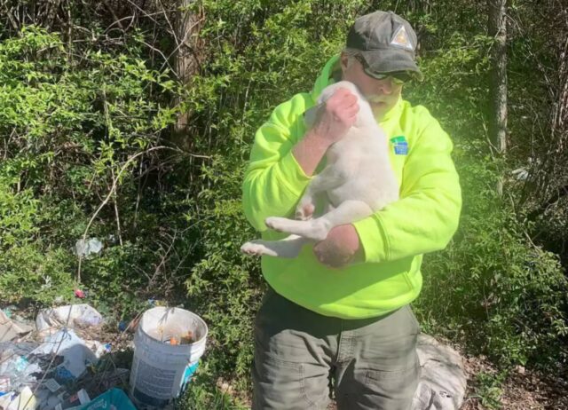 L’addetto alle pulizie getta la spazzatura e si ritrova davanti un cucciolo di cane:”È stato amore a prima vista”