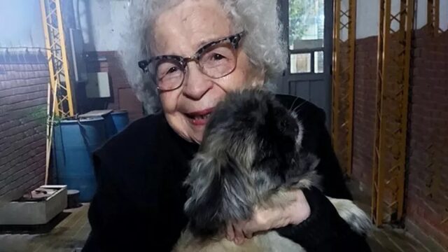 Anziana di 97 anni ritrova il cane scomparso: la sua gioia è incontenibile