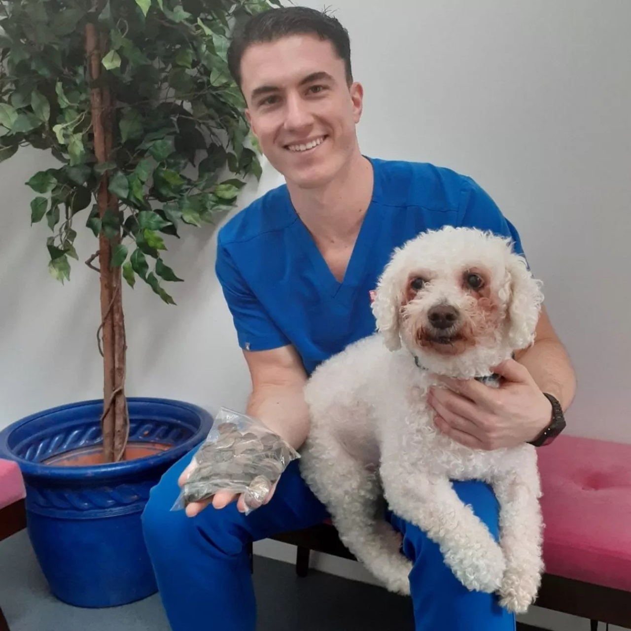 Veterinario con il cane