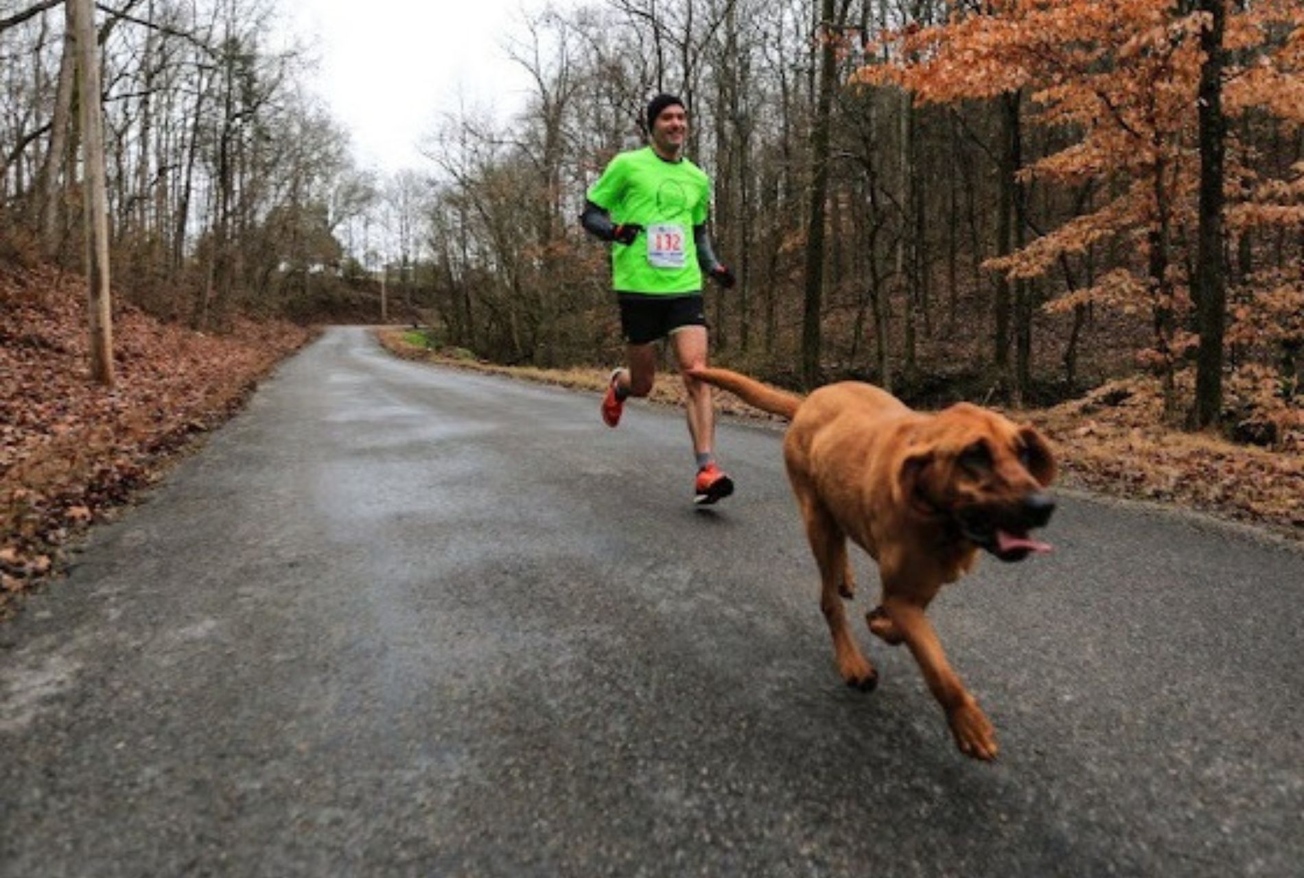 cane partecipa mezza maratona