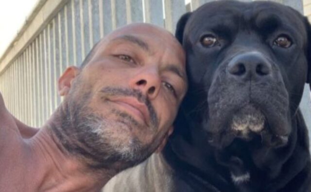 Una donna con il cuore spezzato cerca il cane scomparso che fuggì dall’incidente in cui ha perso il suo fidanzato